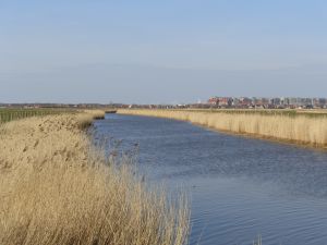 Blankenbergse Vaart thv Uitkerkse Polders