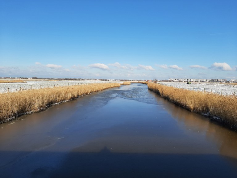 Blankenbergse Vaart