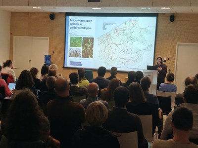 Workshop SGBP4 - sfeerbeeld Workshop SGBP4 op 25 november 2025, sfeerbeeld 2