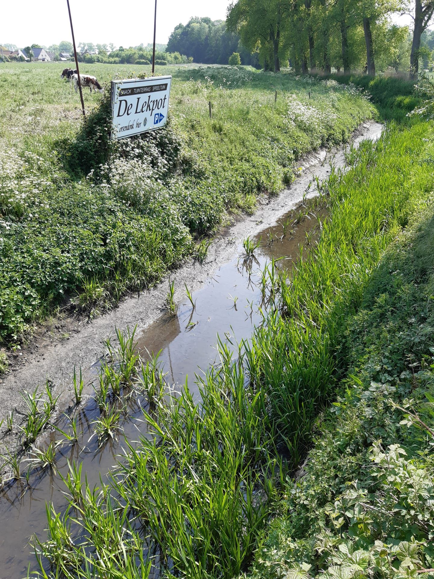 Kerkebeek - zeer laag peil