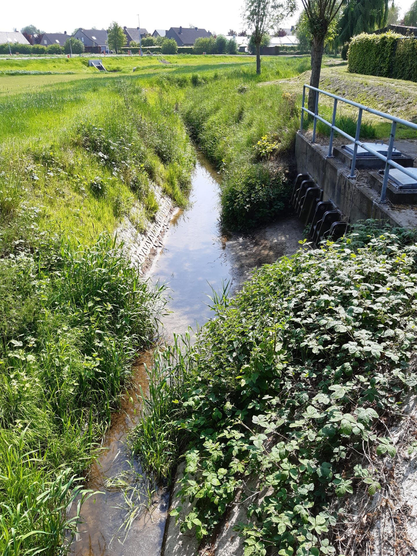 Plaatsebeek - zeer laag peil