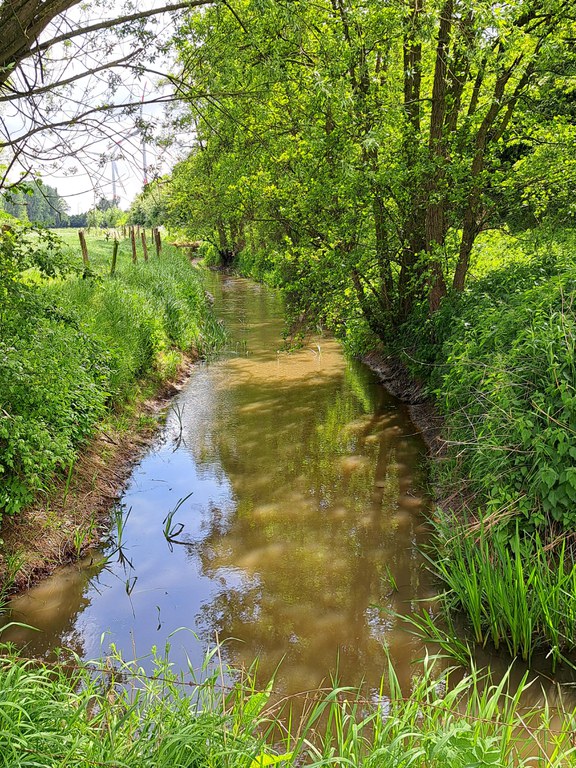 Dag van de Kerkebeek, 6 mei 2025, beeld Kerkebeek