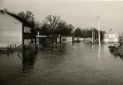Rietlaan
