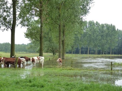 Rivierbeek - overstromingen