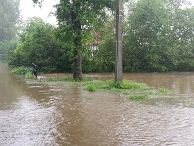 Hertsbergebeek - Sterredreef (2016)