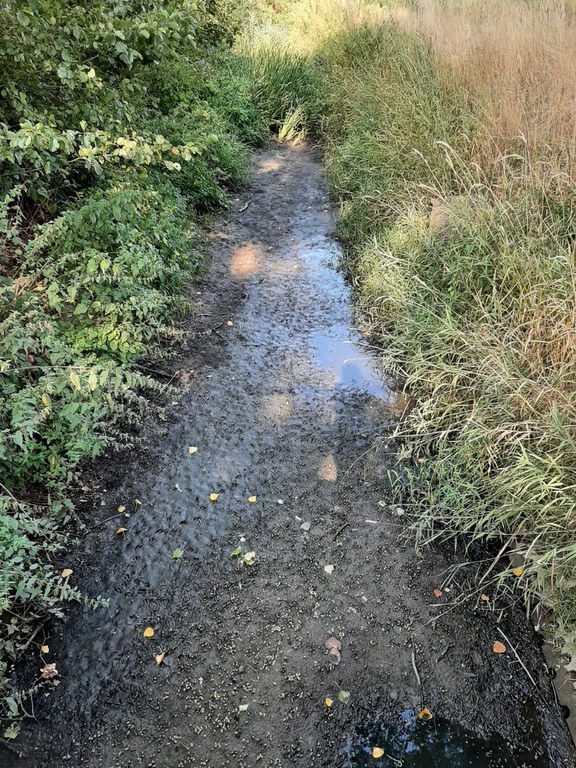 Hertsbergebeek (september 2022)