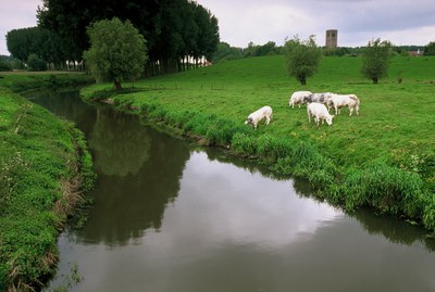 Zuidervaartje (Damme)