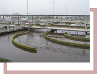 beheer oppervlaktewaterkwaliteit knop oppervlaktewaterkwaliteit