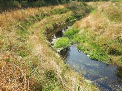 Febr. 2023 - Hermeandering Oude Kale 2017 Febr. 2023 - Hermeandering Oude Kale 2017