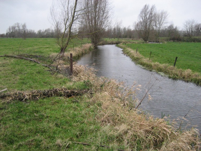 Middenloop Oude Kale