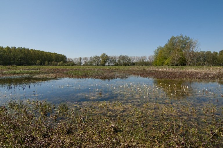 Foto Moervaartvallei (Bron: Projectbureau Moervaartvallei)