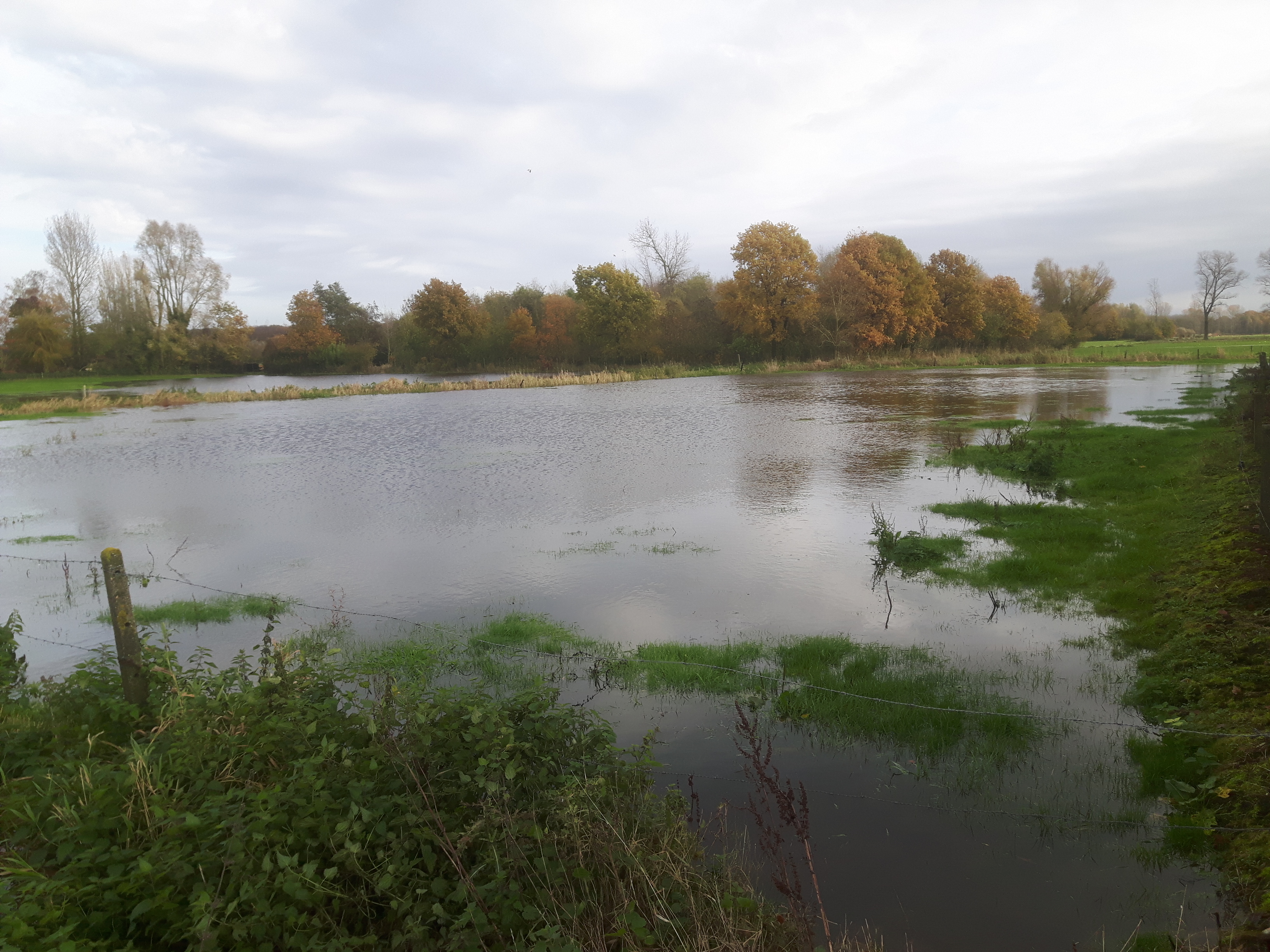 overstromingen Wantebeek