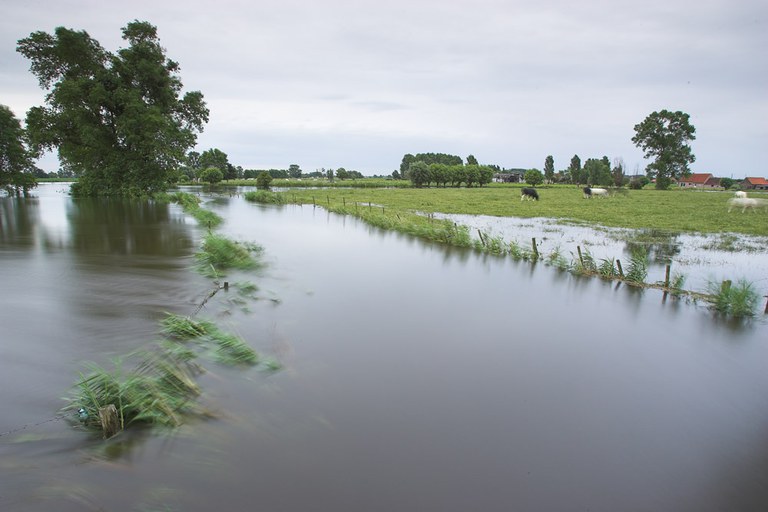 overstroomde Poekebeek (Vinkt)