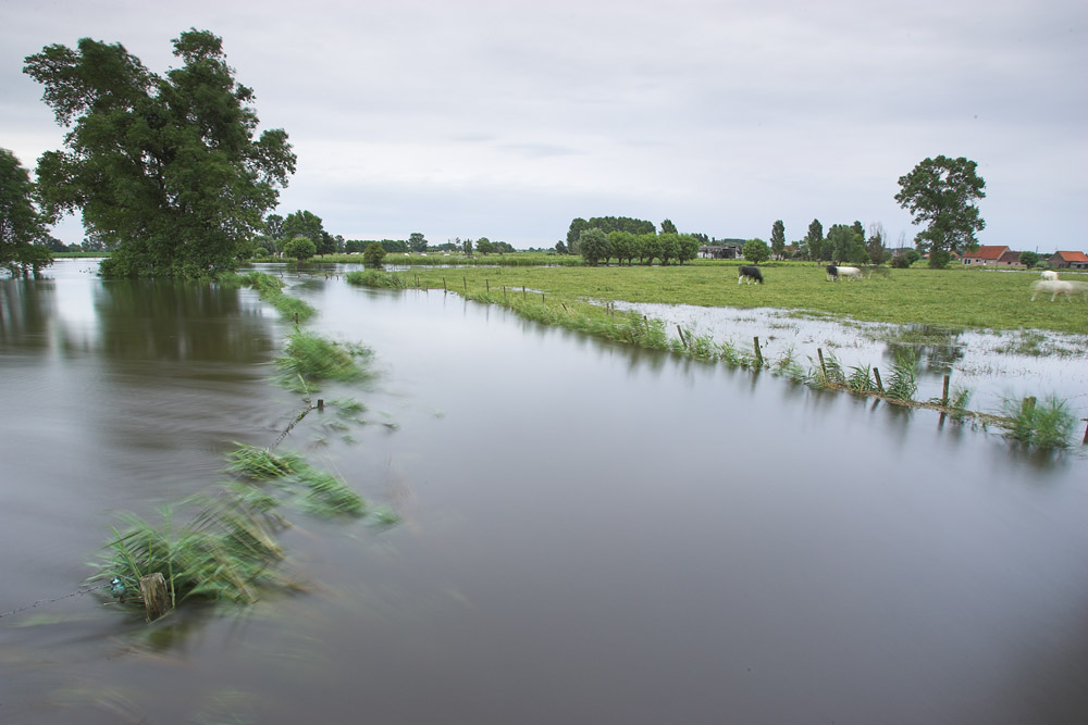 overstroomde Poekebeek (Vinkt)