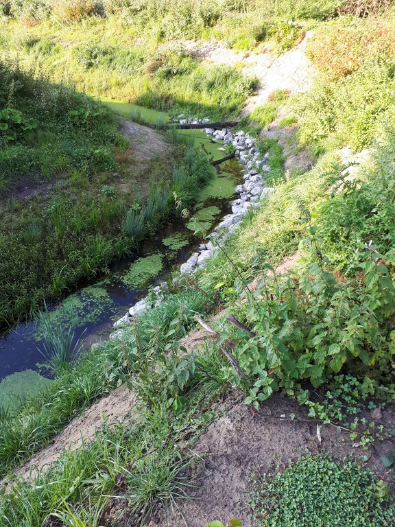 Oude Kale - klimaatrobuuste inrichting (Landegem)