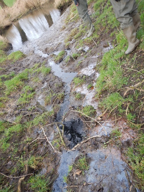 Oude Kale - erfsappen