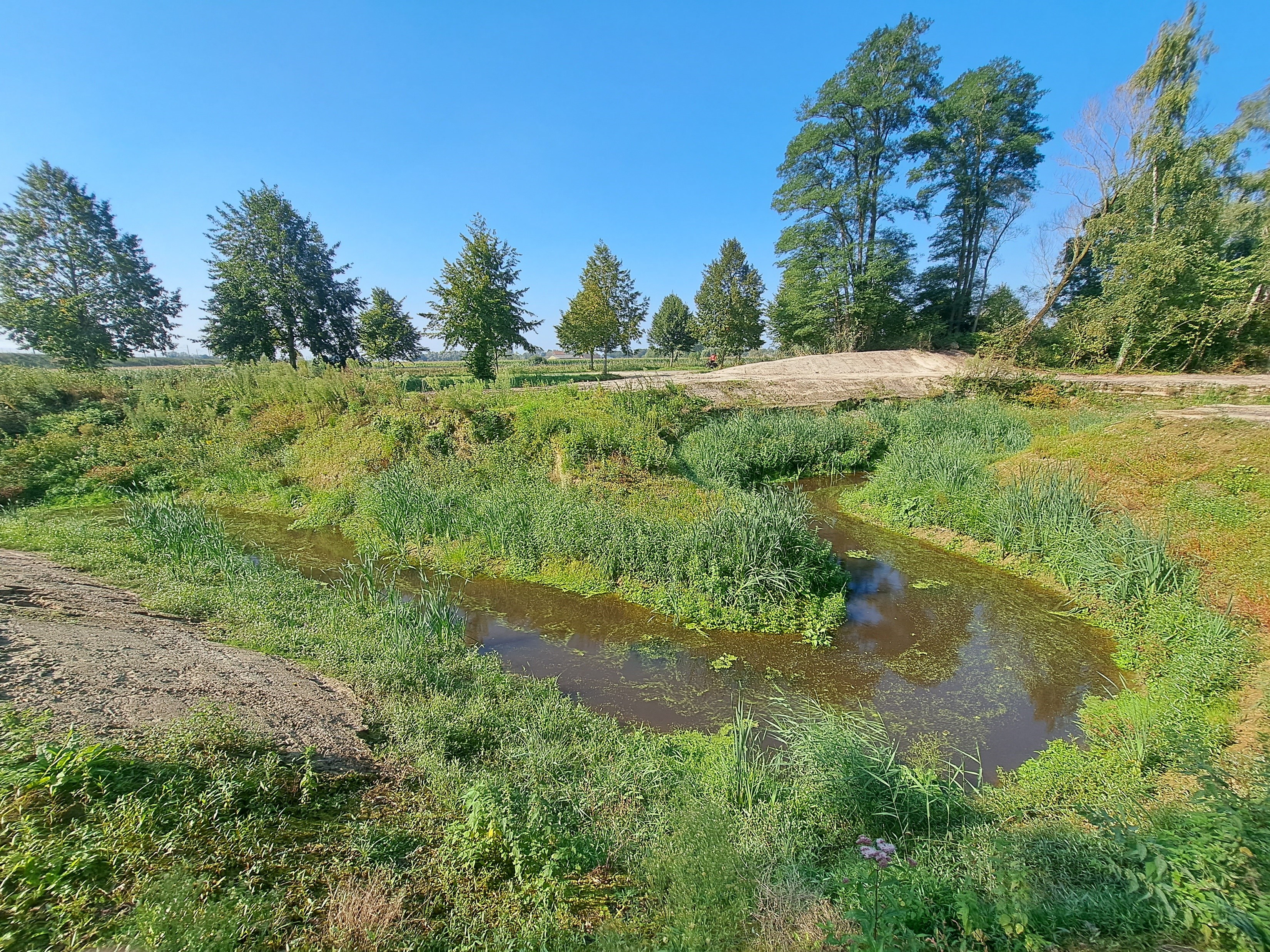 Oude Kale - hermeandering fase2