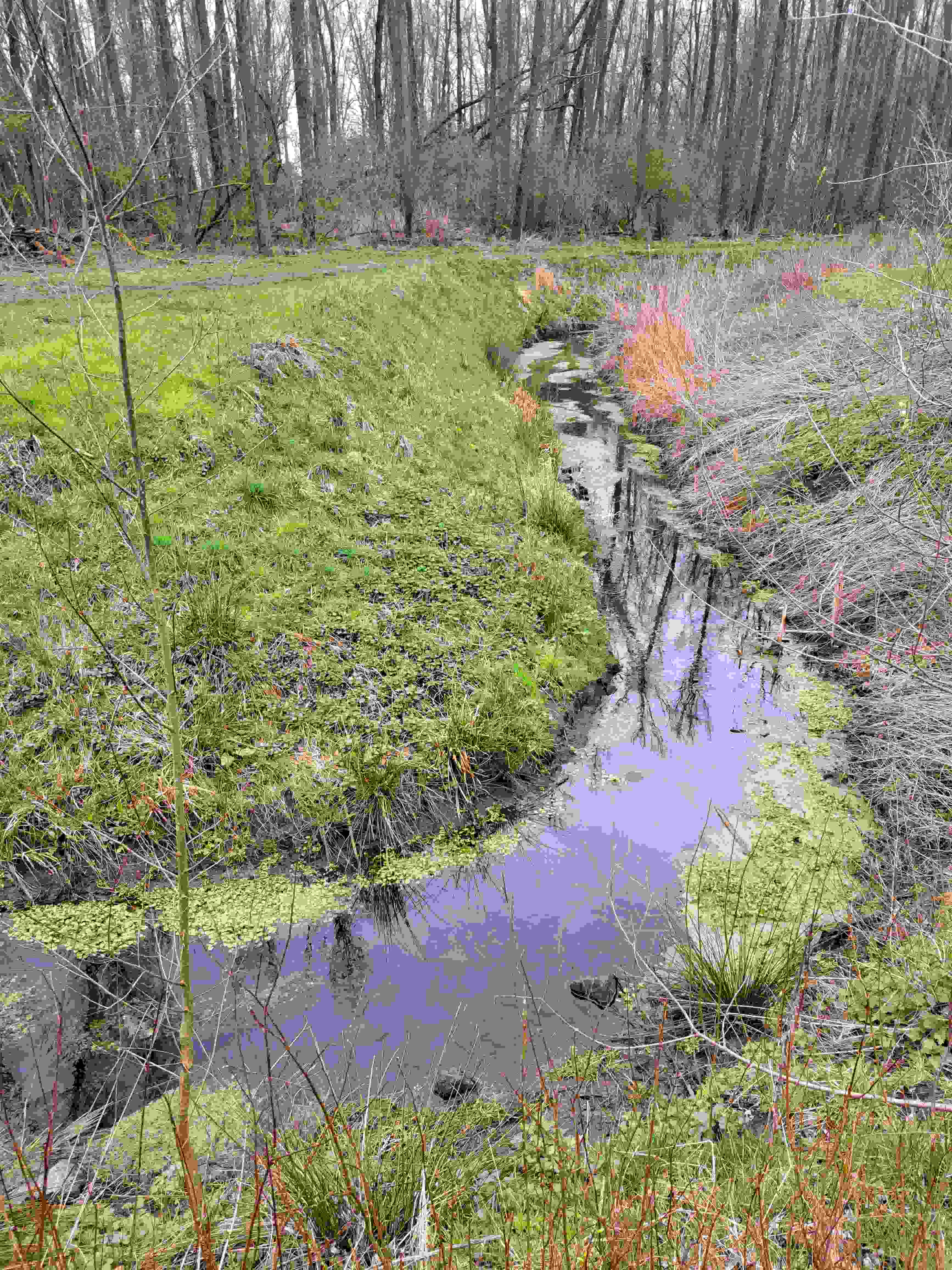 Oude Kale - hermeandering (na)