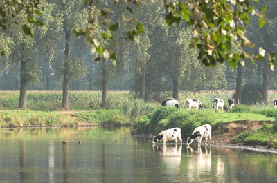 GK landbouw
