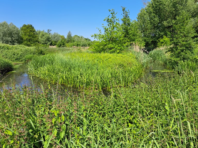 Beeld Groot Schijn  - meander