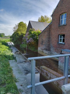 Schemelbertmolen Liezele