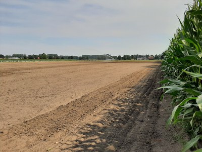 landbouw (Vliet)
