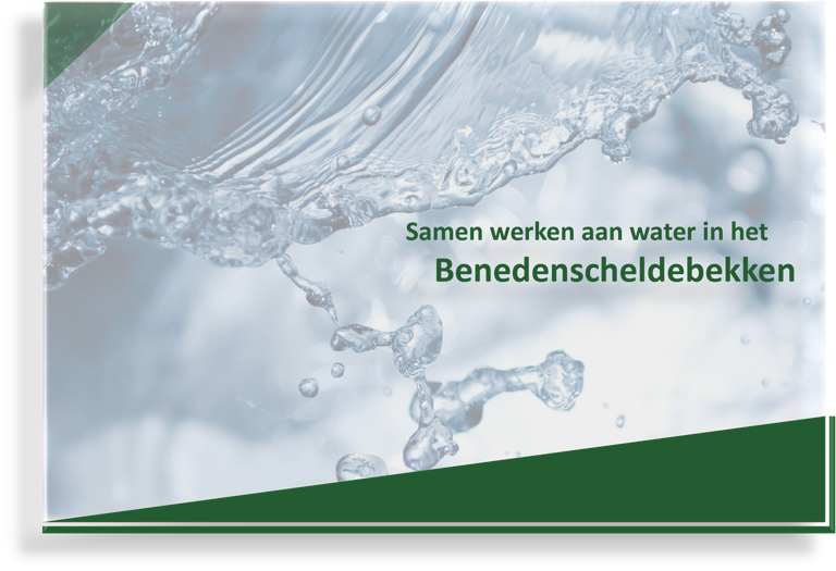 BSD Benedenscheldebekken