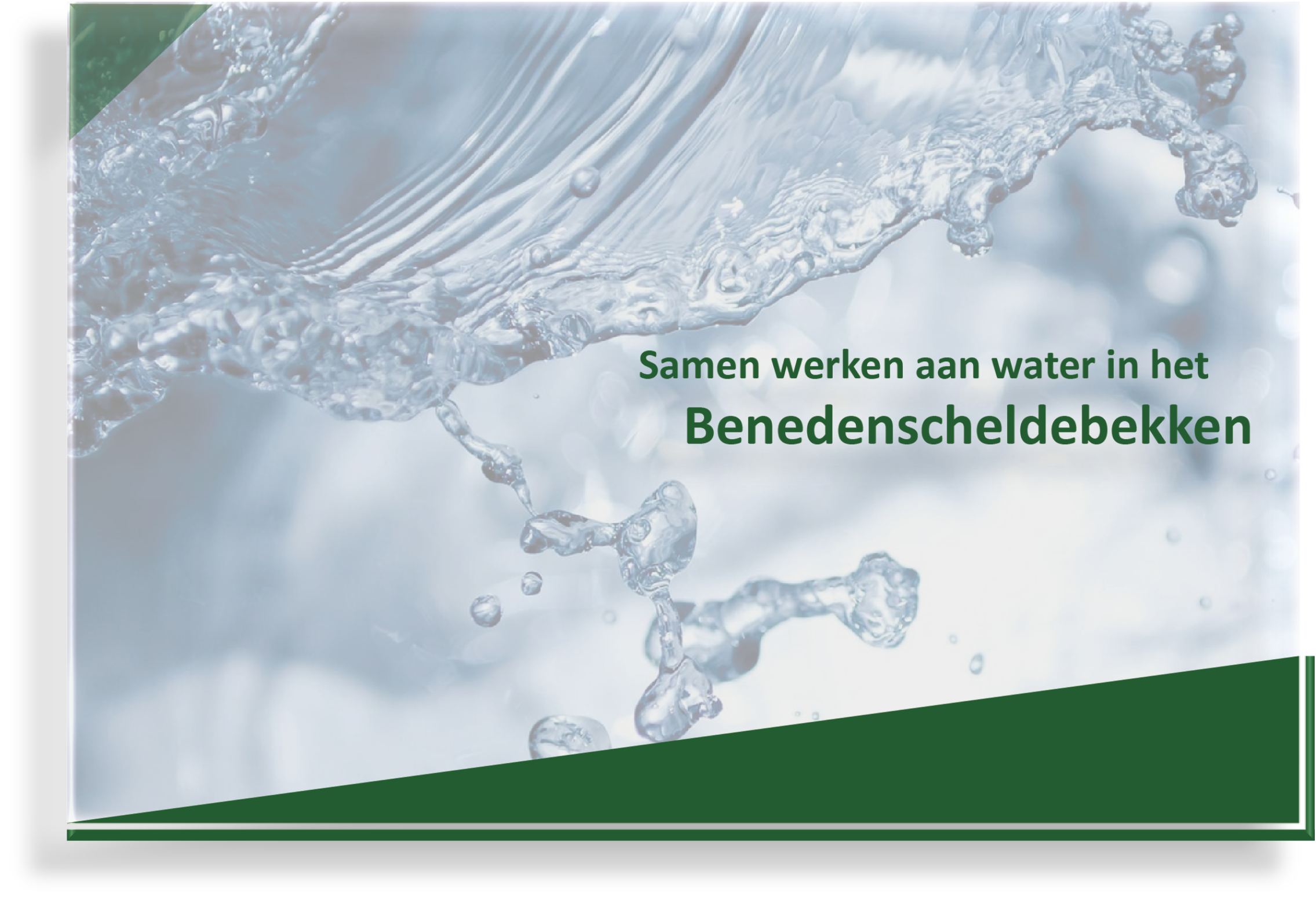 BSD Benedenscheldebekken