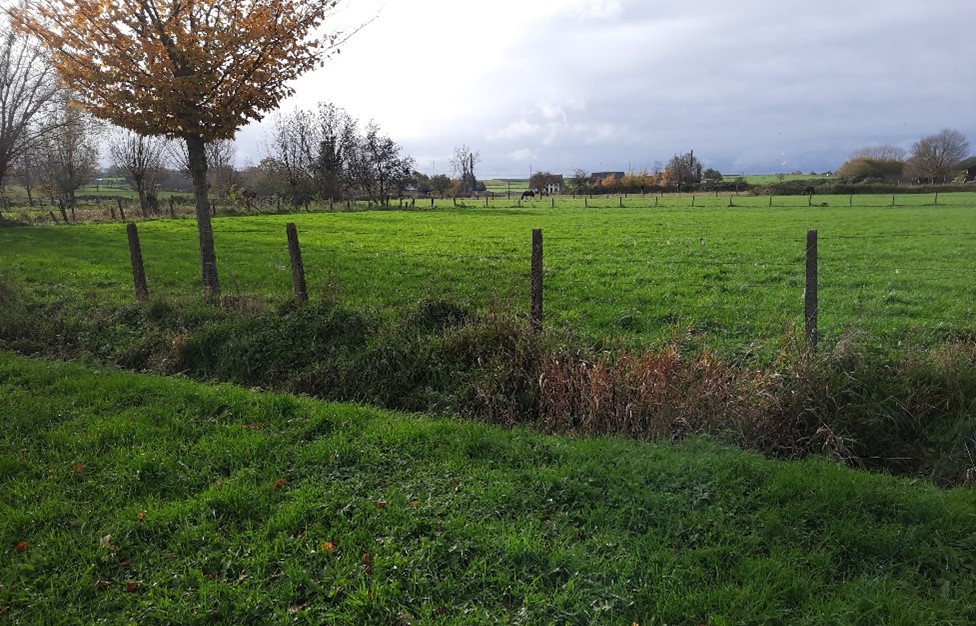 Bosvijverloop afwaarts overstort