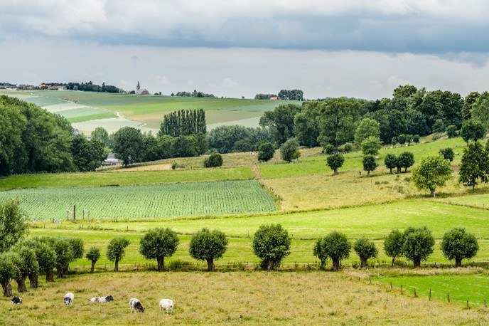 Nieuwsbrief, dec. 2022 'Vlaamse Ardennen kandidaat voor erkenning als Landschapspark': Kouter rond en het dorp Nukerke vanaf de Taaienberg (Fotograaf: Bart Heirweg)