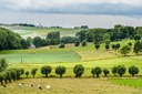 Vlaamse Ardennen kandidaat voor erkenning als Landschapspark