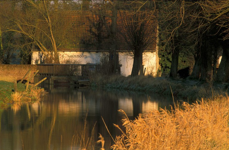 Zwalm opwaarts Zwalmmolen