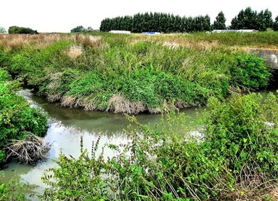 Foto: monding Grote Spiere-Fabrieksbeek  in de Espierres Blanche (grens met Wallonië)