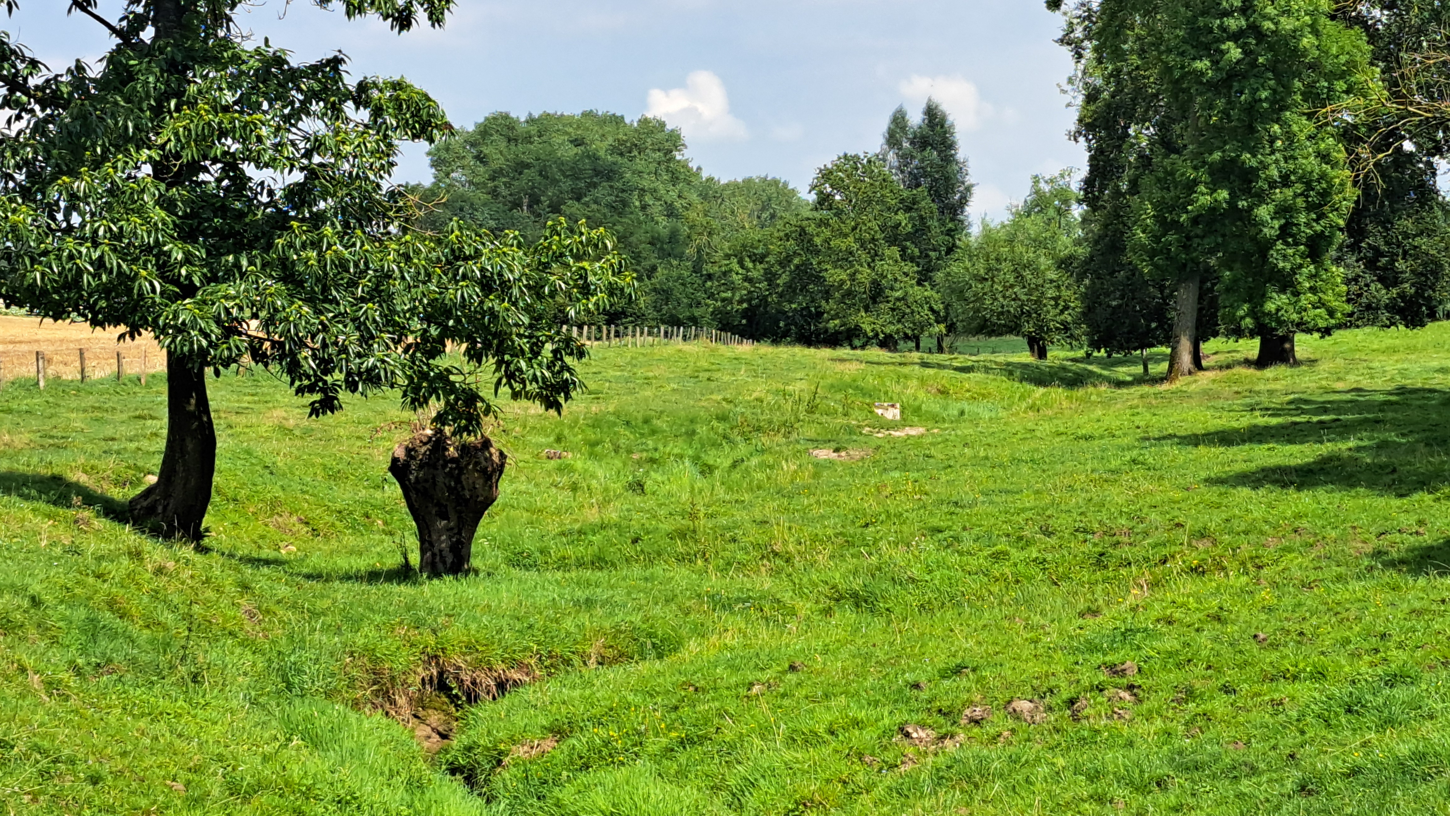 Pauwelsbeek in Maarkedal