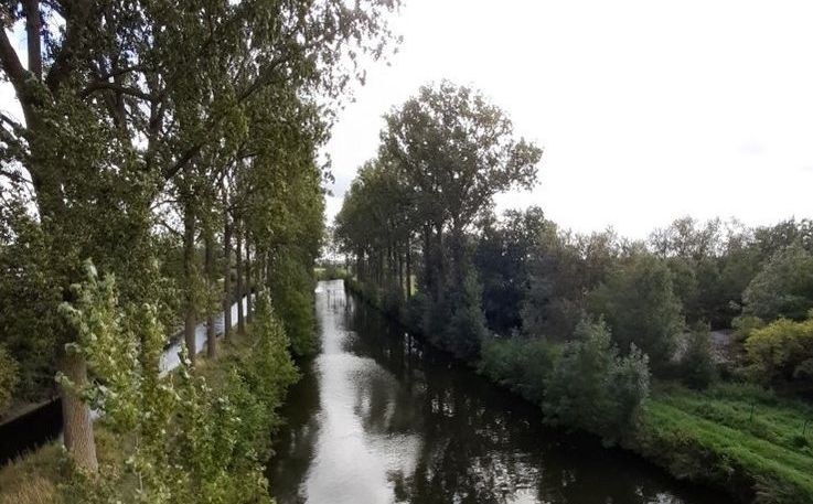 2025 - Waterkwaliteit Spierebeken verbetert gestaag