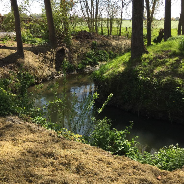 Maarkebeek - maaisel langs de beek