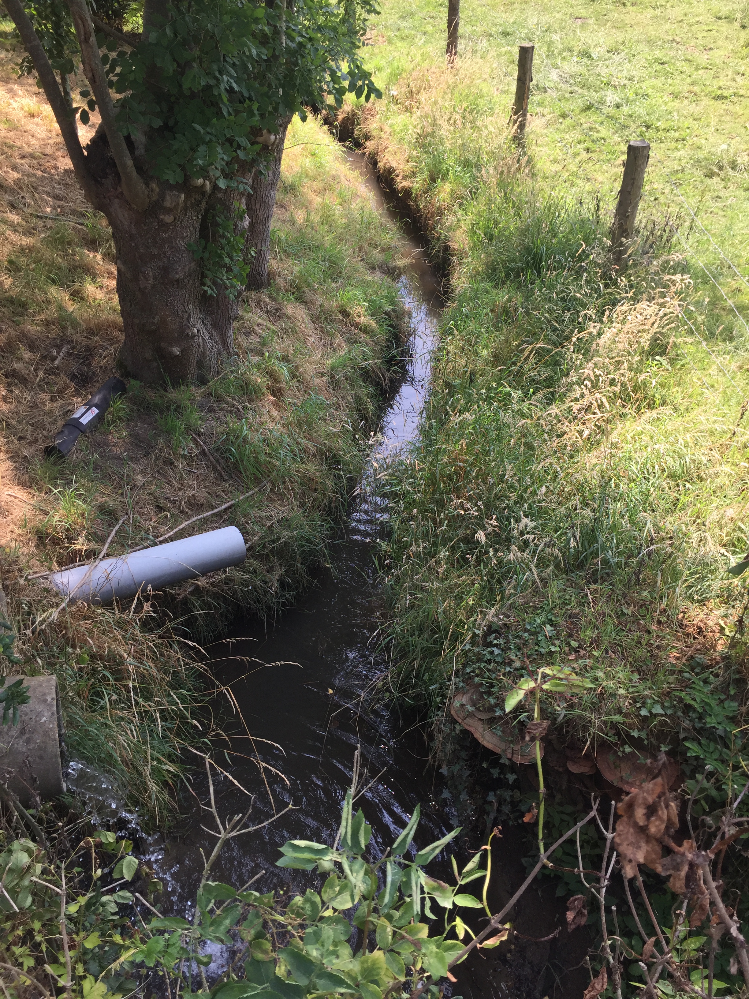 Pauwelsbeek - drainage en lozing