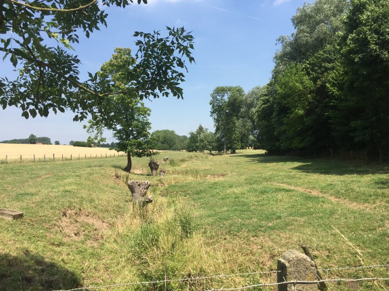 Pauwelsbeek - meanderende bovenloop