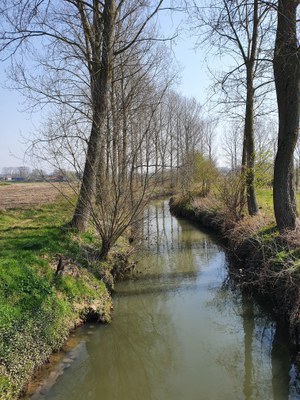 Zwalm - waterkwaliteit (opwaarts brug richting mondingzone)