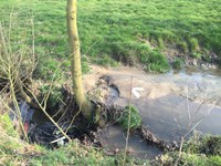 Zwalm - Roebeek zwerfvuil