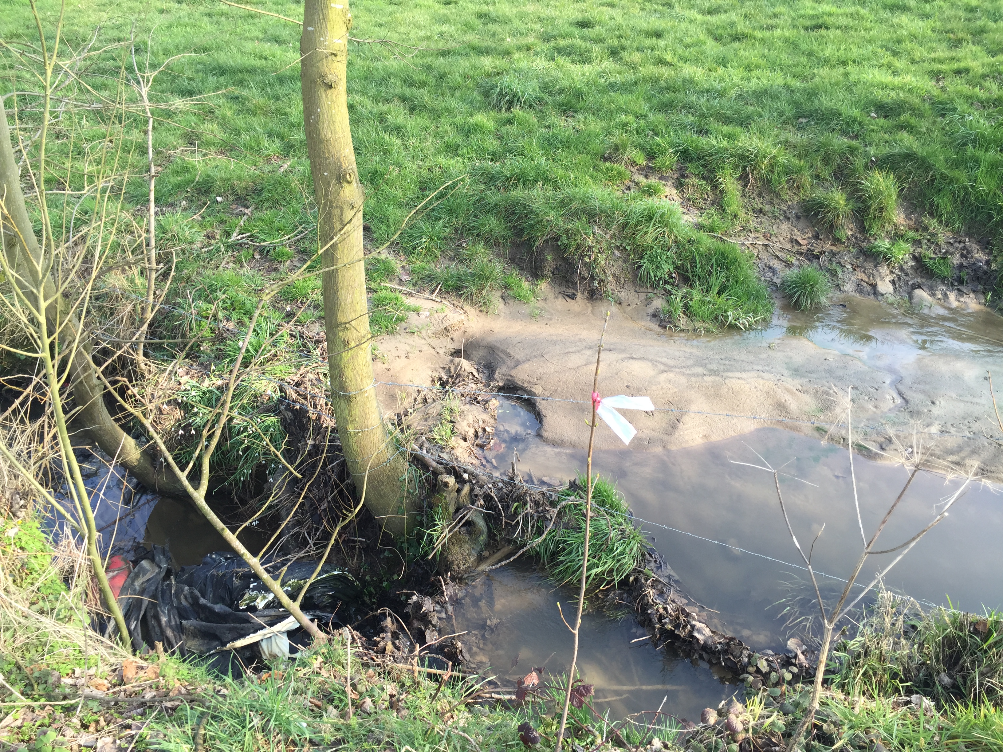 Zwalm - Roebeek zwerfvuil