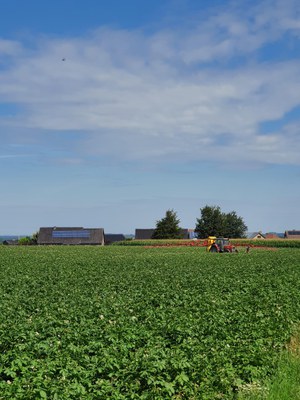 landbouw