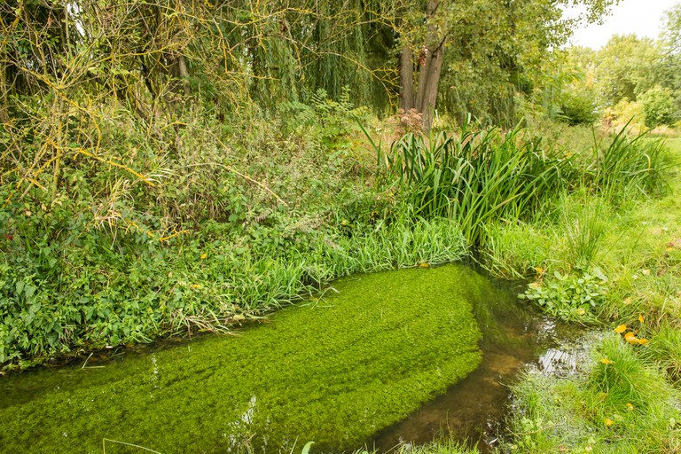 2019 - Hermeandering Herkebeek