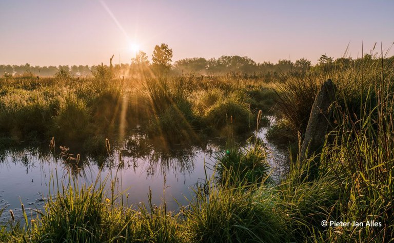 11de Demerdag - Vallei van de Velpe (centraal beeld)