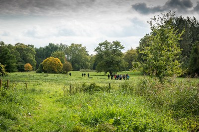 Demerdag 2019 (2)