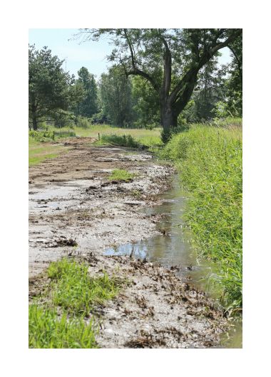 Ecologisch herstel voor Herkebeek