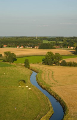 Nieuwsbrief Netebekken, februari 2017Copywrite Raf Stassen, regionaal landschap Zuid-Hageland