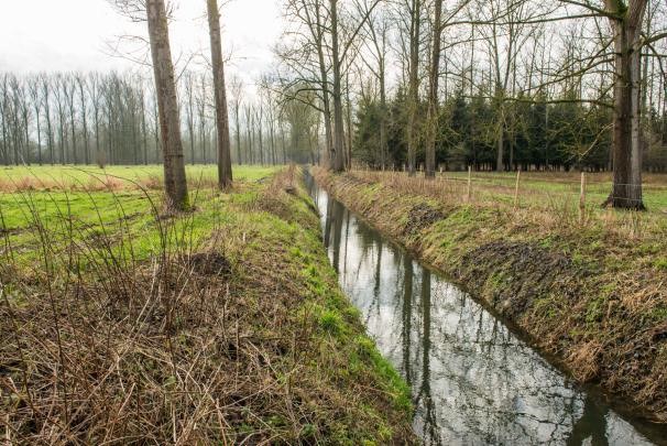 Investeringsproject watering Grote Gete
