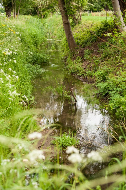 Waarbeek - Deysbeek