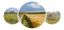 12de Demerdag | living lab Herk en Mombeek - sfeerbeelden
